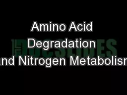 Amino Acid Degradation and Nitrogen Metabolism
