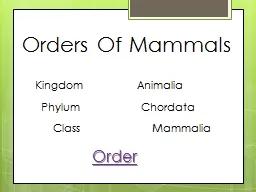 Orders Of Mammals