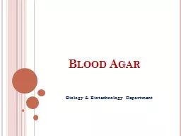 Blood Agar
