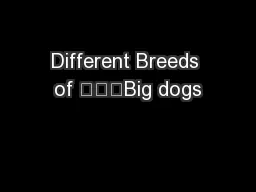 Different Breeds of 			Big dogs