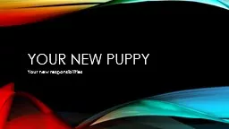 Your new puppy