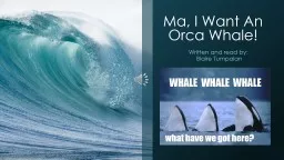 Ma, I Want An Orca Whale!