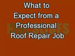 What to Expect from a Professional Roof Repair Job