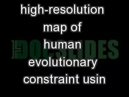 A high-resolution map of human evolutionary constraint usin