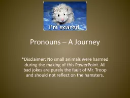 Pronouns – A Journey