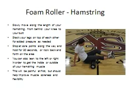 Foam Roller - Hamstring