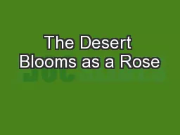 The Desert Blooms as a Rose