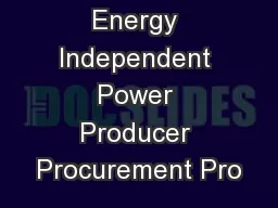 Renewable Energy Independent Power Producer Procurement Pro