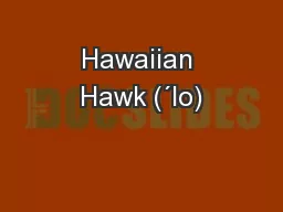 Hawaiian Hawk (´Io)