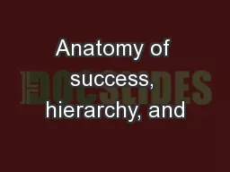 Anatomy of success, hierarchy, and