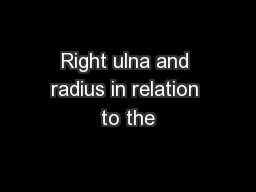 Right ulna and radius in relation to the