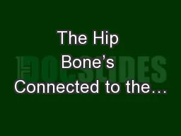 The Hip Bone’s Connected to the…