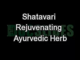 Shatavari Rejuvenating Ayurvedic Herb