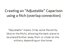 Creating an “Adjustable” Caparison