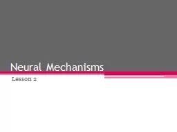 Neural Mechanisms