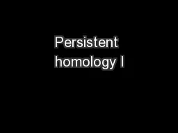 Persistent homology I
