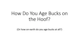 How Do You Age Bucks on the Hoof?