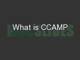What is CCAMP