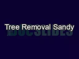 Tree Removal Sandy