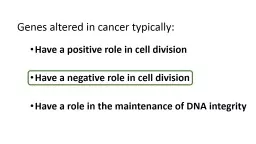 Have a positive role in cell division