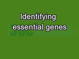 Identifying essential genes