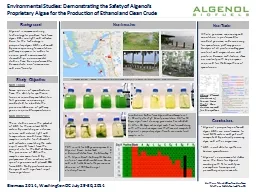 Algenol’s proprietary enhanced algae, AB1, are
