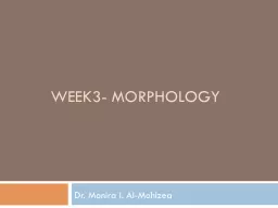 Week3- Morphology
