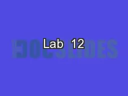 Lab  12