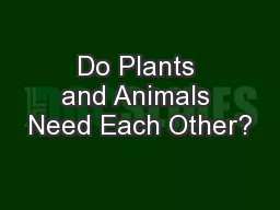 Do Plants and Animals Need Each Other?