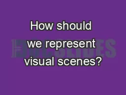 How should we represent visual scenes?