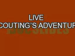 LIVE SCOUTING’S ADVENTURE