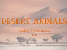 Desert animals