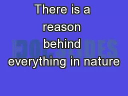 There is a reason behind everything in nature