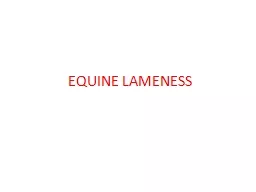 EQUINE LAMENESS