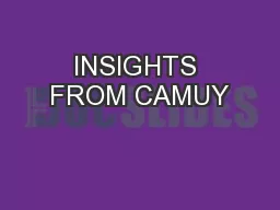 INSIGHTS FROM CAMUY