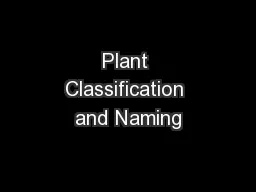 Plant Classification and Naming