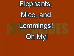 Elephants, Mice, and Lemmings! Oh My!