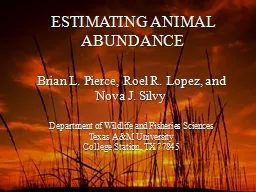 ESTIMATING ANIMAL ABUNDANCE