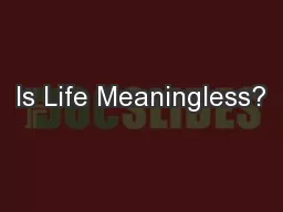 Is Life Meaningless?