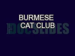 BURMESE CAT CLUB
