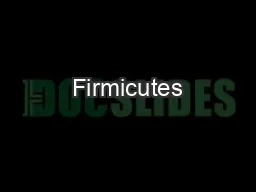 Firmicutes