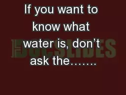 If you want to know what water is, don’t ask the…….