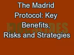 The Madrid Protocol: Key Benefits, Risks and Strategies