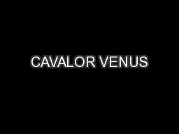 CAVALOR VENUS