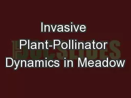 Invasive Plant-Pollinator Dynamics in Meadow