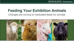 Feeding Your Exhibition Animals