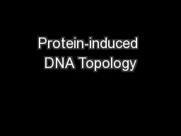 Protein-induced DNA Topology