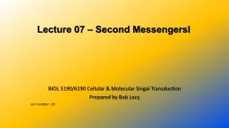 Lecture 07 – Second