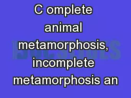 C omplete animal metamorphosis, incomplete metamorphosis an