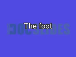 The foot